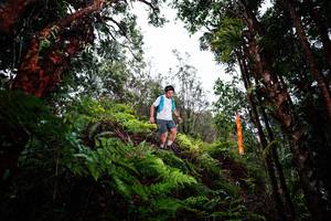 BIB: 
                            <button type="button" onclick="openModal(26205177)" class="btn btn-primary btn-sm float-right btn-popup" data-toggle="modal" data-target=".modal-high-quality">
                        <i class="fas fa-shopping-cart"></i> Add to Cart
                    </button>
                                            <button type="button" onclick="isThisMe(26205177, true)" class="btn btn-success btn-sm float-right btn-popup btn-isme hidden" data-toggle="tooltip" data-placement="bottom" title="นี่คือรูปของคุณใช่ไหม คลิกที่นี่เพื่อเอาเข้าอัลบั้ม">
                        <i class="fas fa-plus"></i> Add to album
                    </button>
                    <button type="button" onclick="isThisMe(26205177, false)" class="btn btn-warning btn-sm float-right btn-popup btn-isnotme hidden">
                        <i class="fas fa-ban"></i> Remove from album
                    </button>